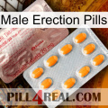 Male Erection Pills new13